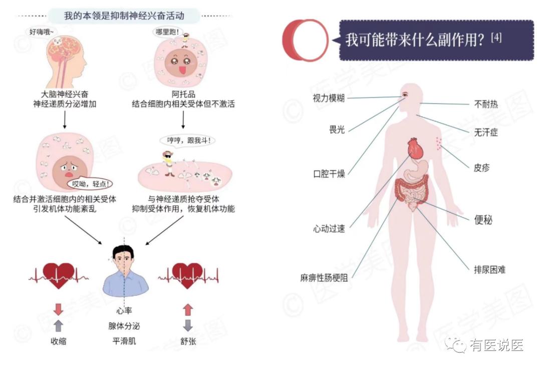 手汗症从什么年龄开始知道,健康科普手汗症你了解多少