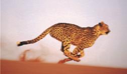 科技馆的巨幕影院有多大,科技馆巨幕影院球幕影院哪个好