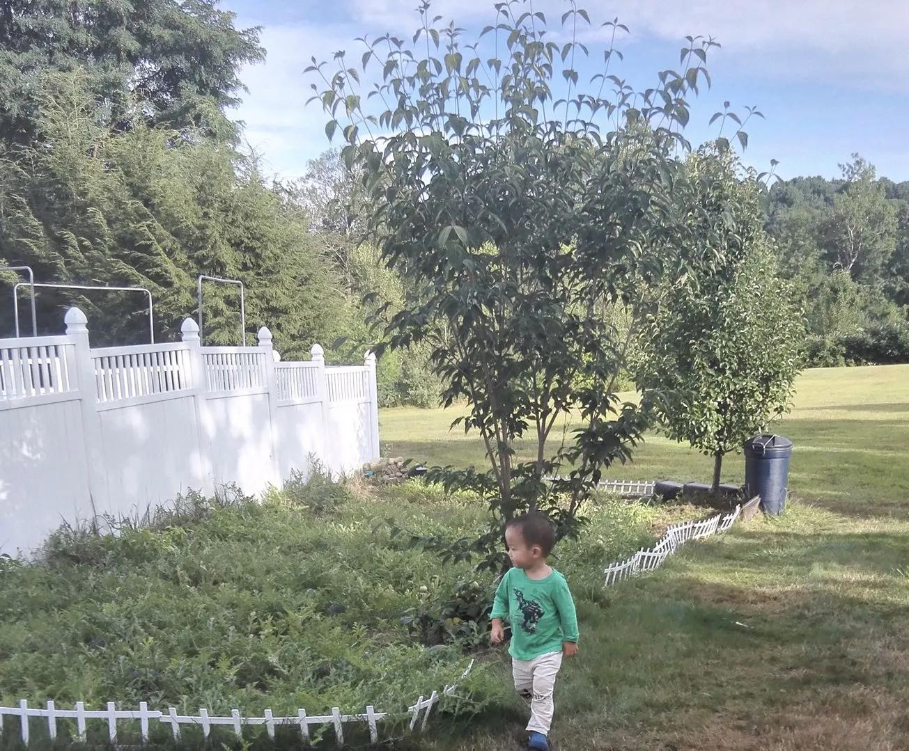 我在美国当道士,我在美国当道士的日子