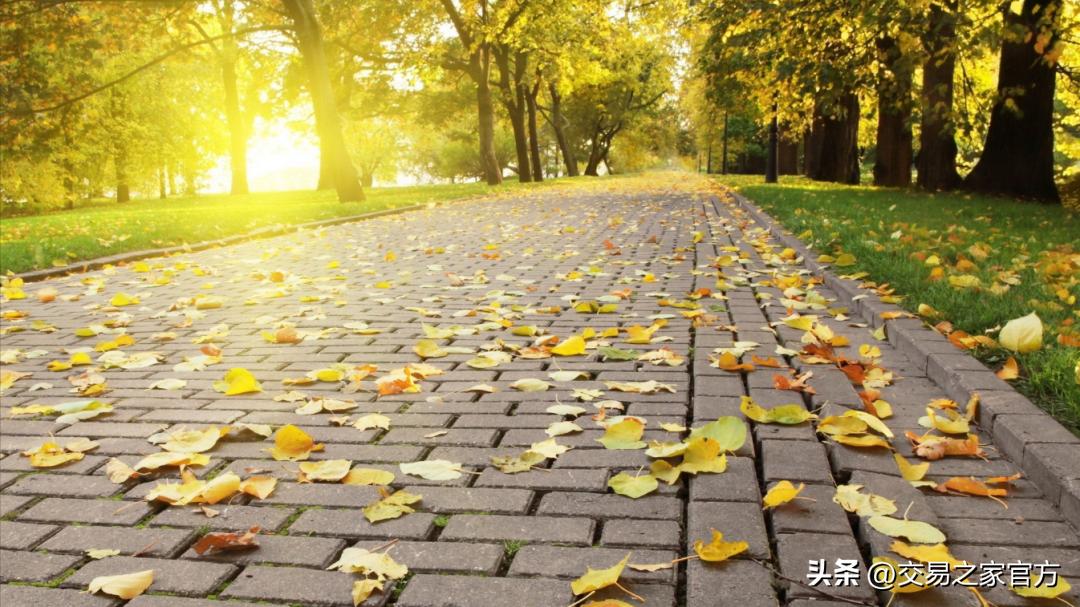 从教育转型互联网,从追赶到超越教育跨越式发展之路