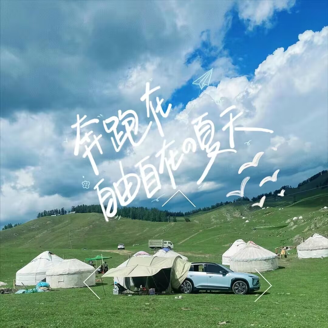 梦想之旅遭遇多重困境！我的狗子和我为了*疆新**披荆斩棘