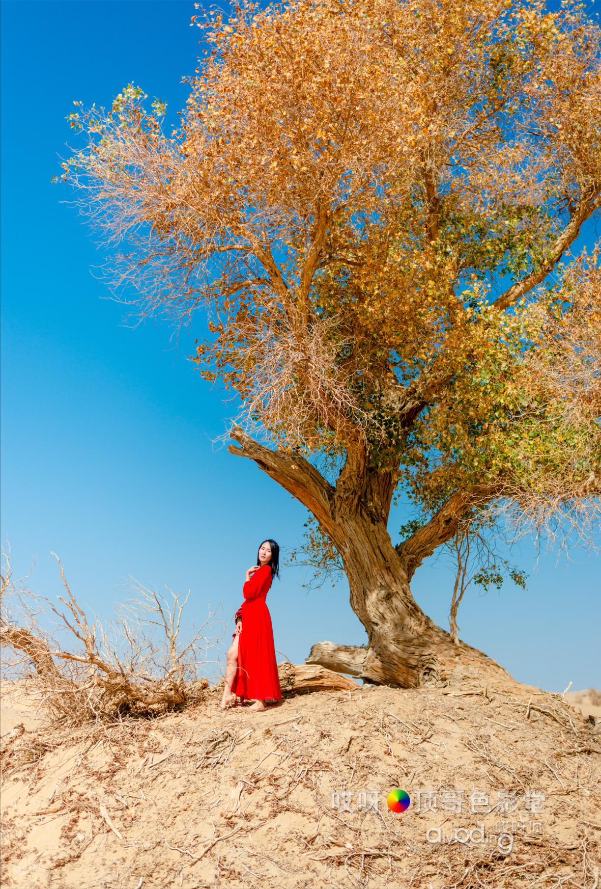 女司机带娃去新疆自驾游,带着女司机自驾游兰州
