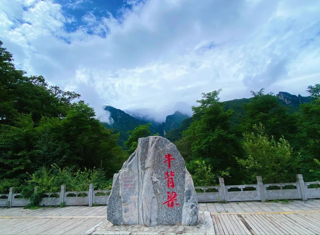 牛背梁景区旅游攻略,牛背梁景点在哪儿买门票