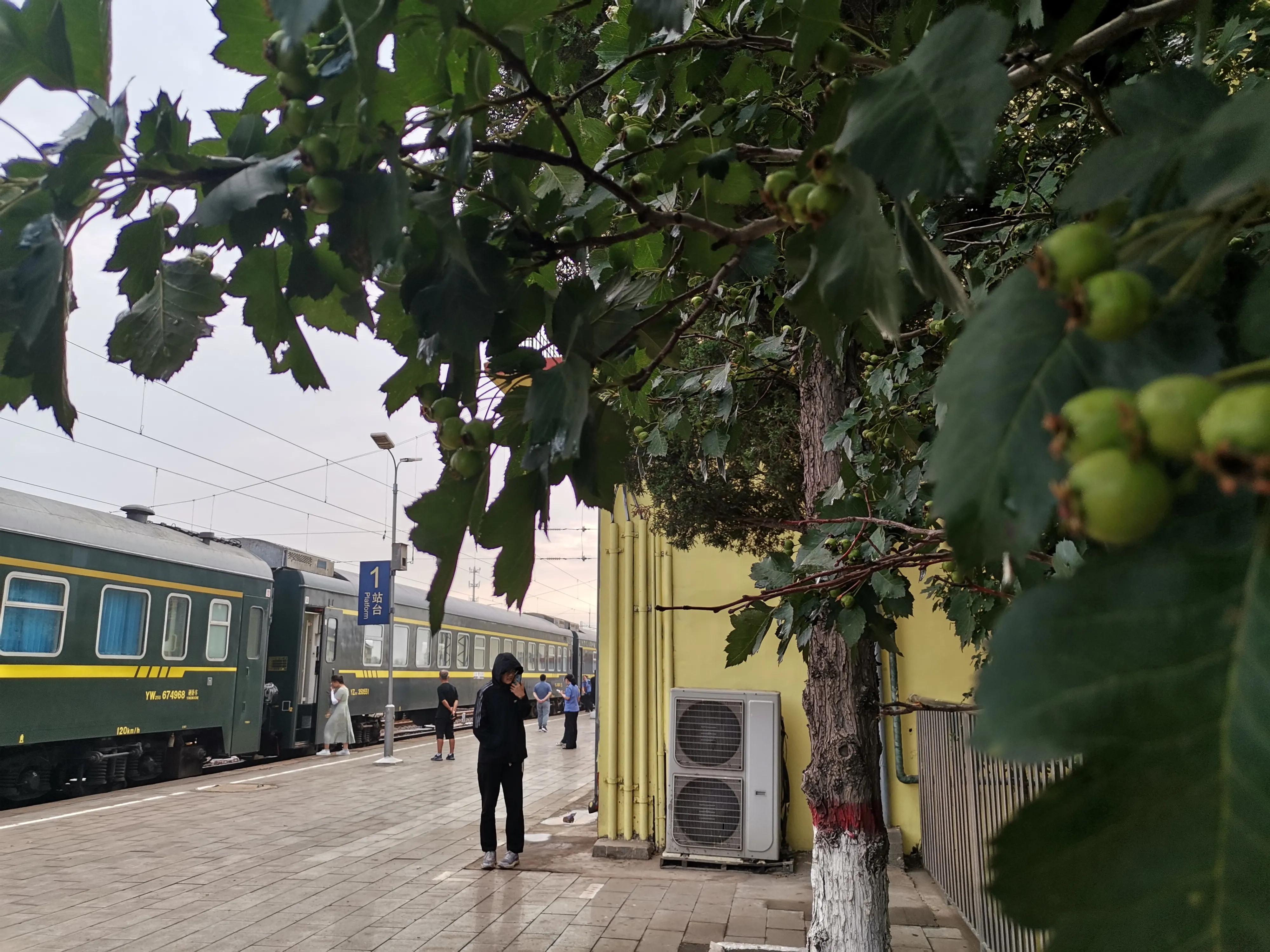 带孩子坐硬座会不会太累,带孩子硬座坐20多个小时什么感受