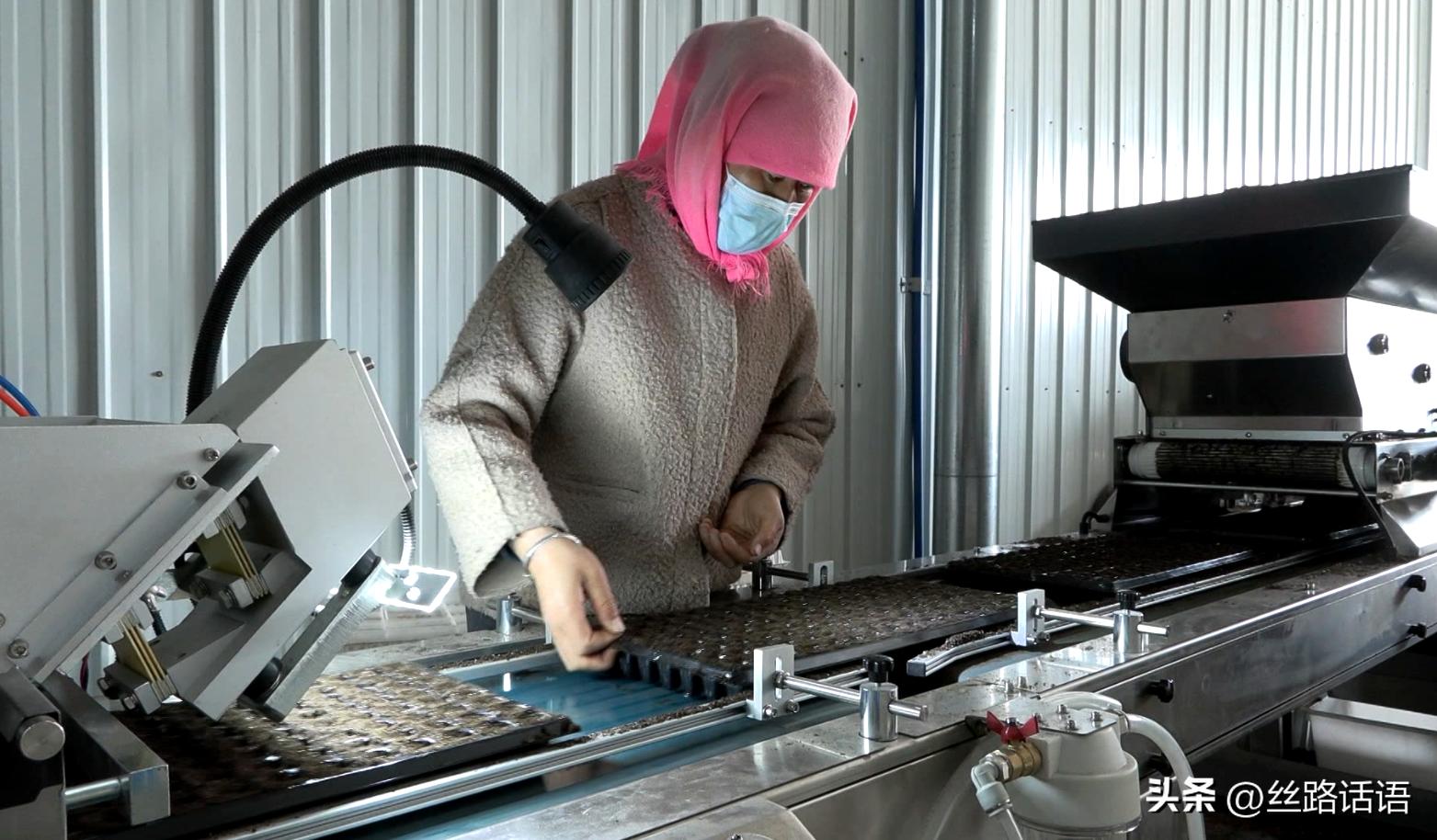 三抓三促春季造林,三抓三促七里河