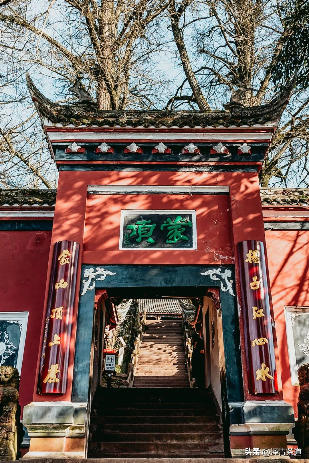 中国10大名茶品牌排名图片,2022年最具品牌价值的10大茶品牌