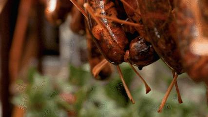 鲁迅先生书里的小吃,鲁迅先生吃过的美食