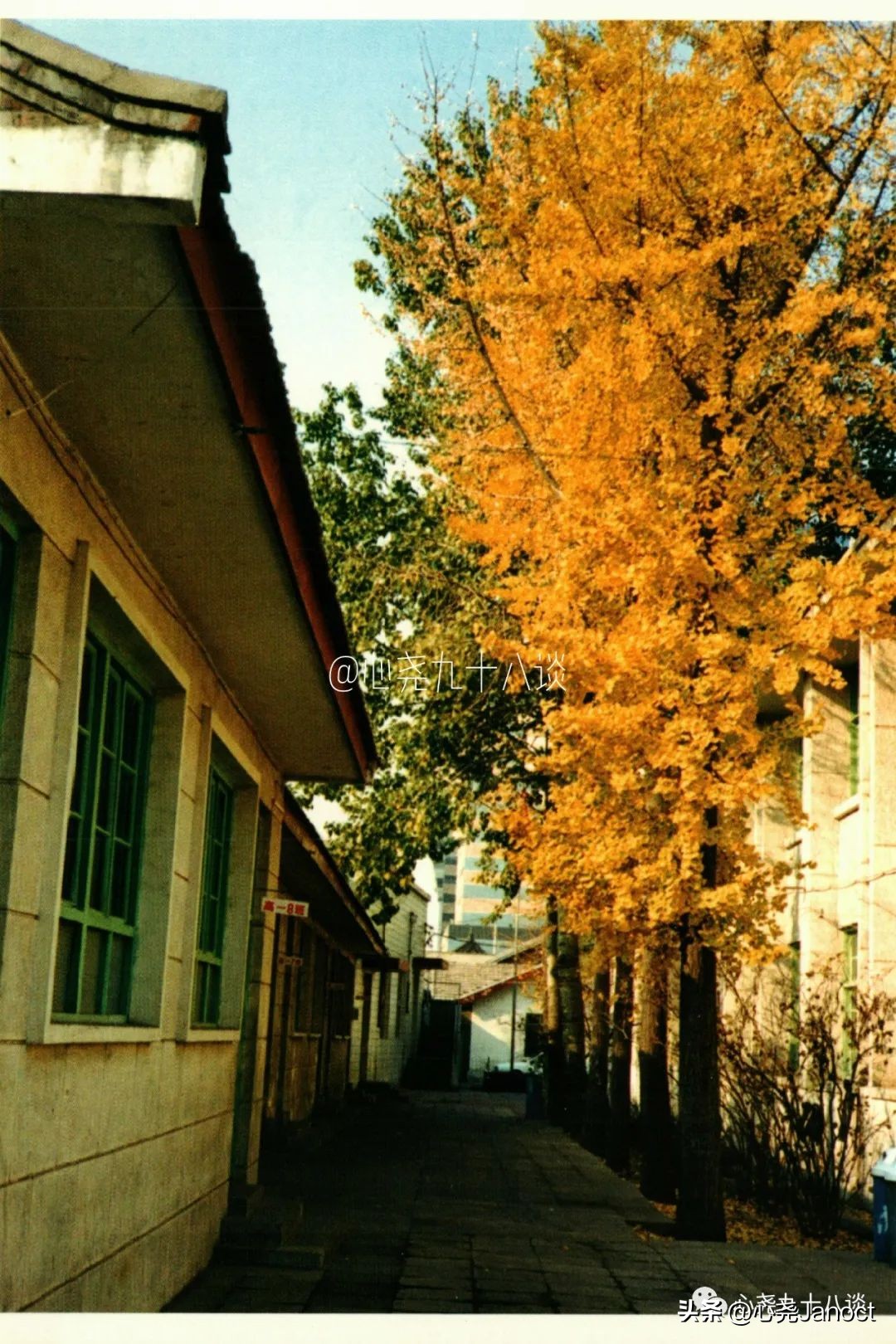 一张明信片的记忆,一枚邮票勾起的回忆