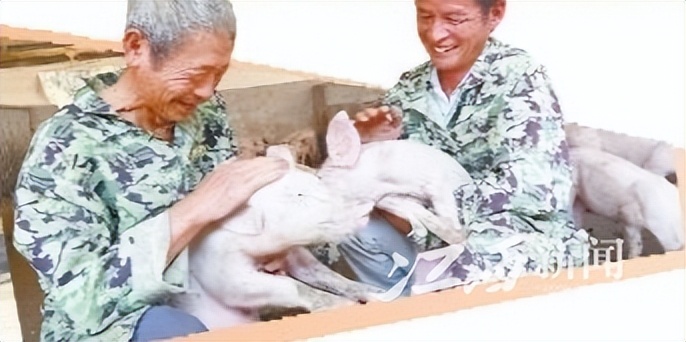 央视中国农民丰收节江西省,中国农民丰收节江西活动实况转播