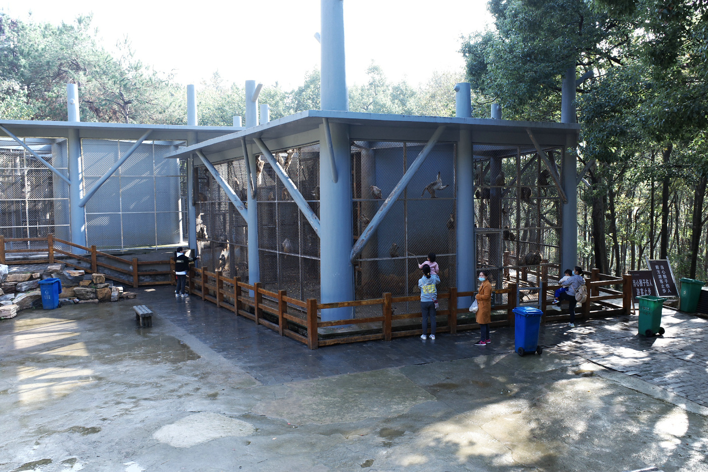 不出武汉赏银杏的地方,武汉好逛的森林公园