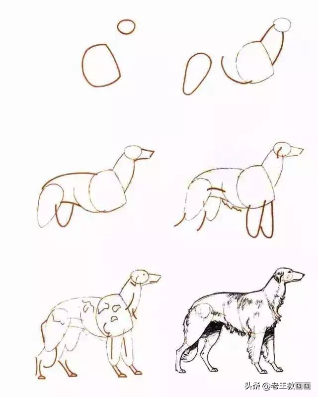 简单易学的简笔画学起来教孩子吧,二分钟教会孩子简笔画赶紧学起来