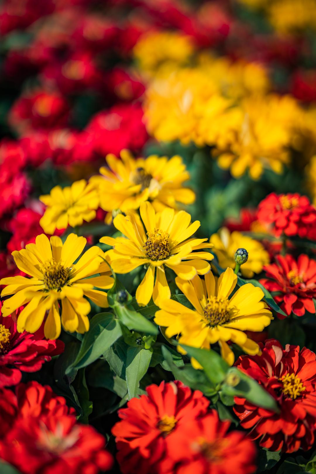 姹夐槼瑙ｉ攣鎵嬫満瀵嗙爜璐圭敤,姹夐槼鑺辫矾