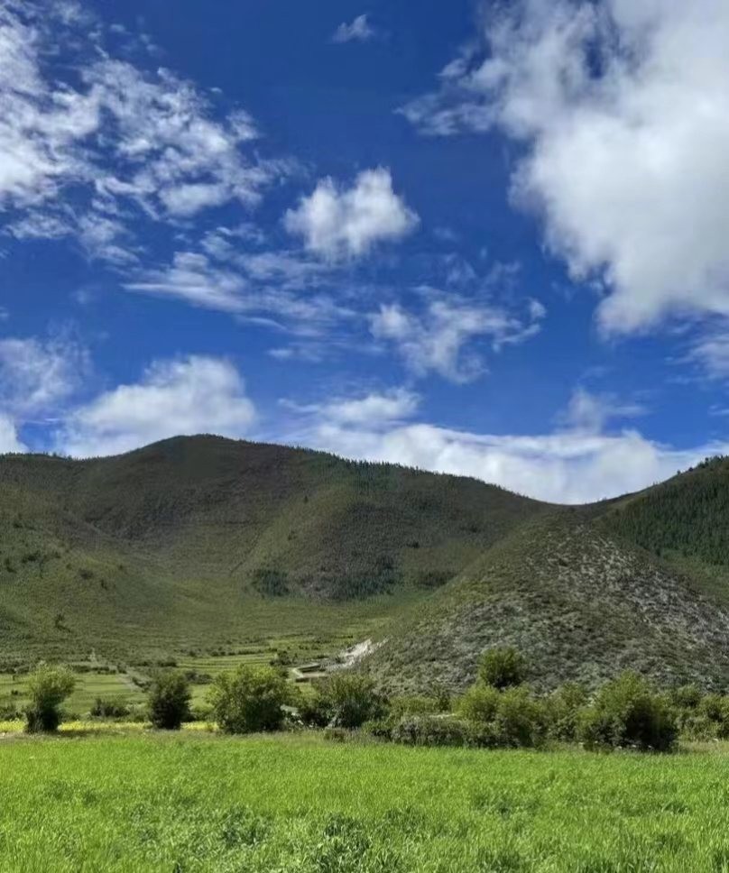 裸辞去了丽江和香格里拉,裸辞香格里拉