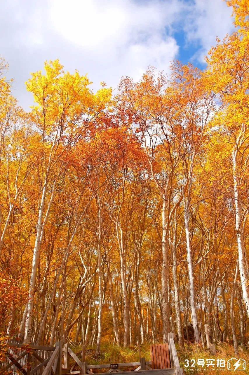 长白山的秋季,长白山夏天和秋天的区别