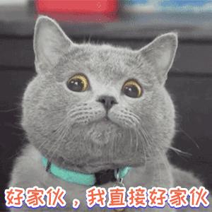 雯神锐雯meiko回放对面视角,雯神meiko事件处理结果