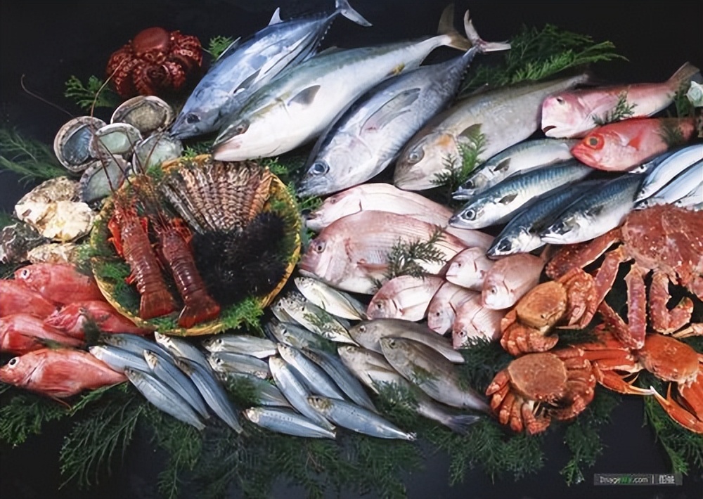 苏州太仓引进日本海鲜,江苏太仓组团出海抢订单