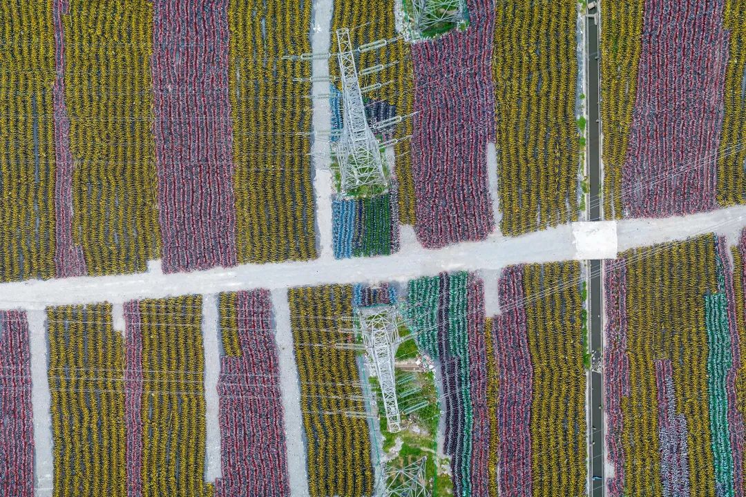 华清嘉园历史价格,华清嘉园往事