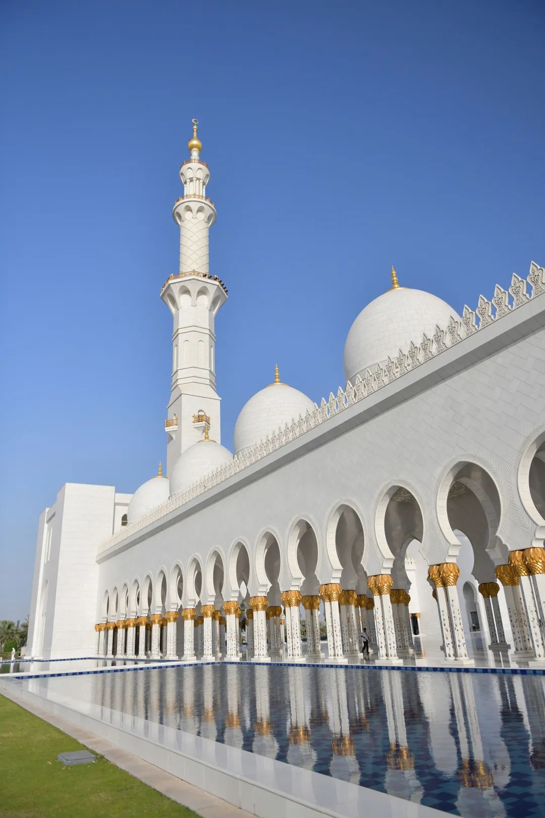 V世界｜夏天，在阿布扎比的11个“极致”体验