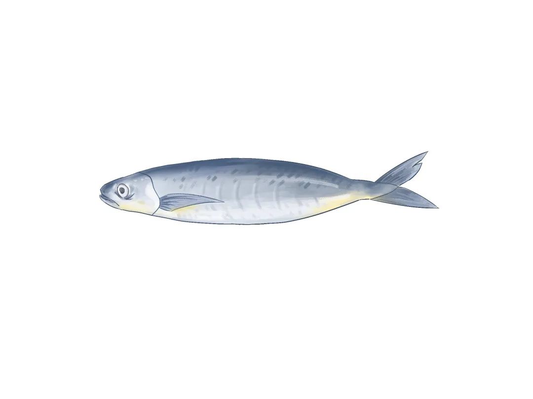 厦大食堂有啥鱼？这位老师来回答！