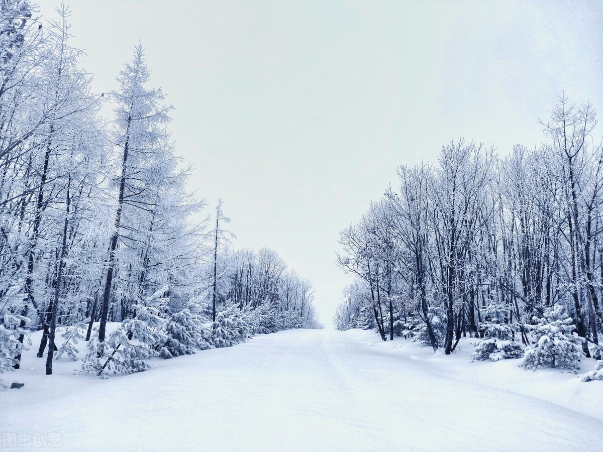 三分钟读完林海雪原,甘洒热血写春秋听课反思