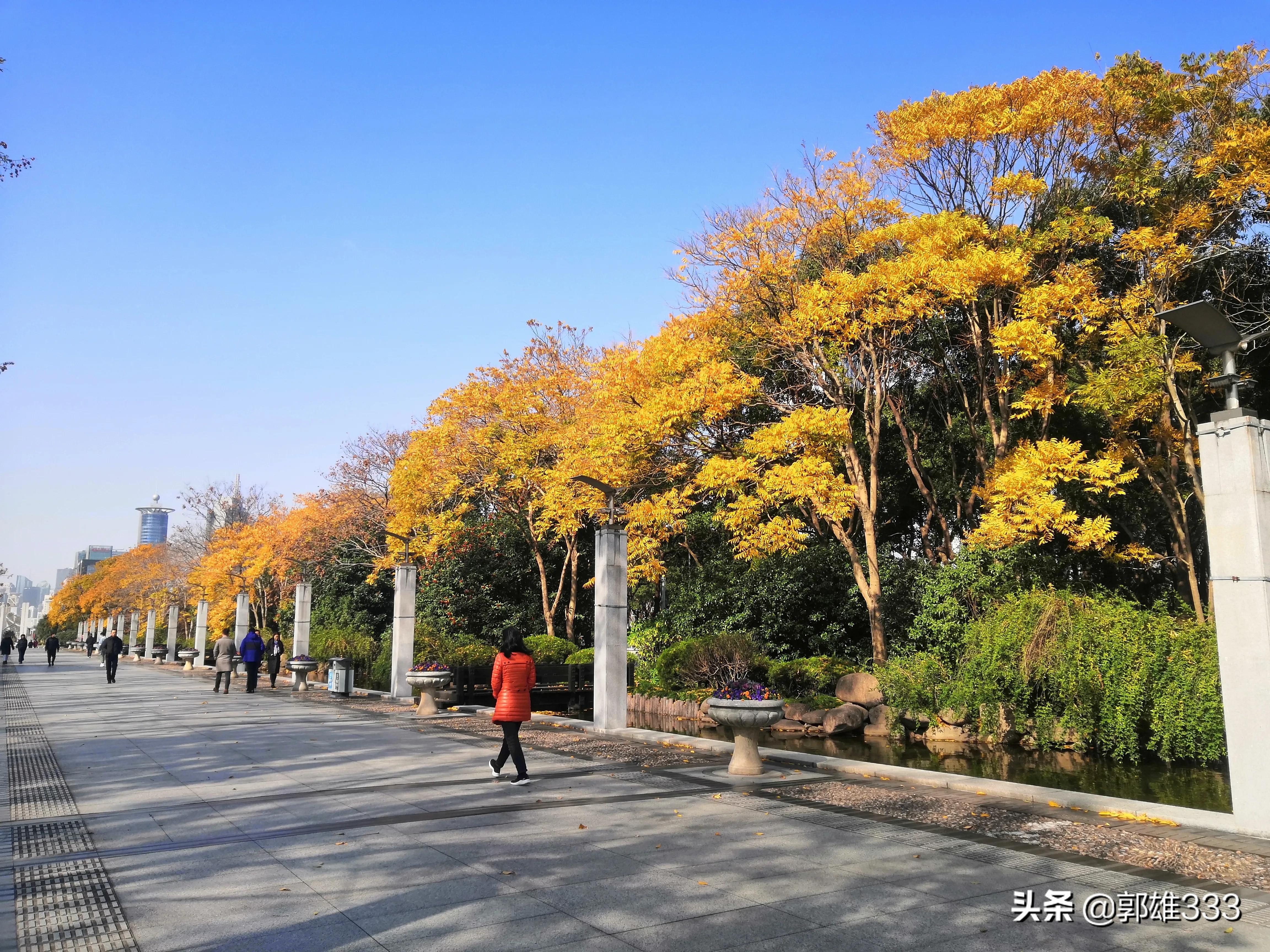 能否让行道树与路名相匹配？