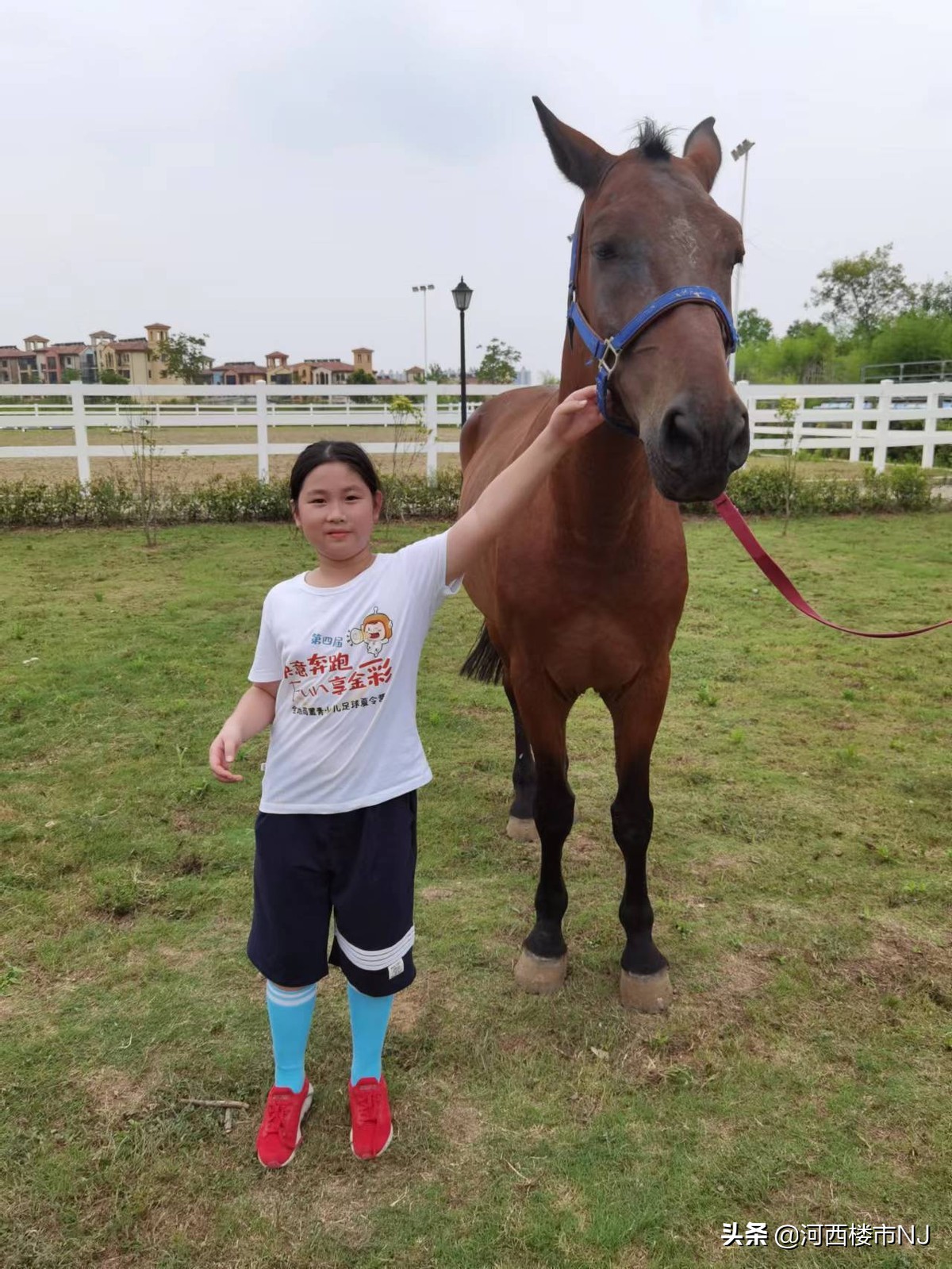 金地夏令营,金地商置宣讲会