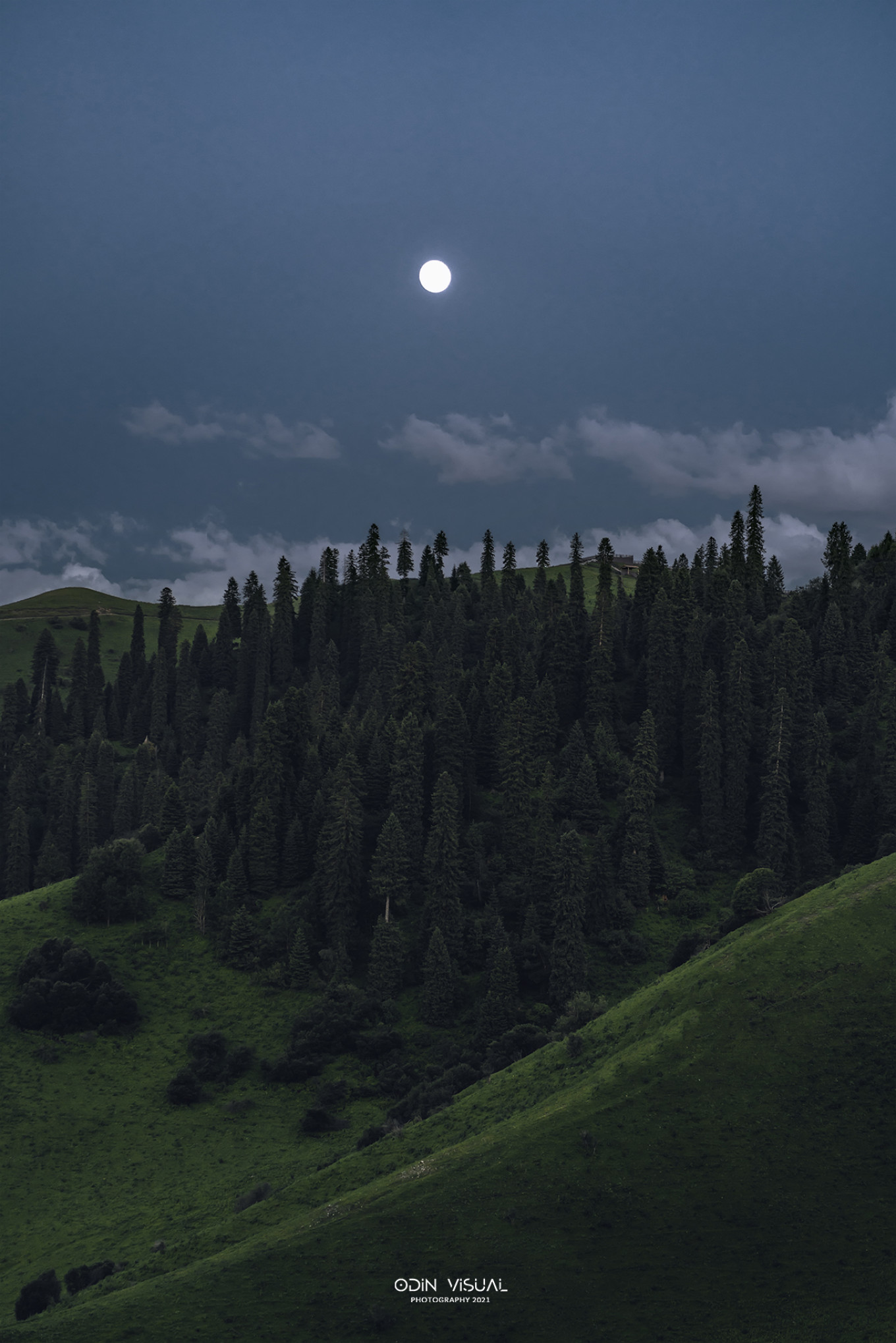 去新疆发现伊犁的美,世界之美尽在伊犁