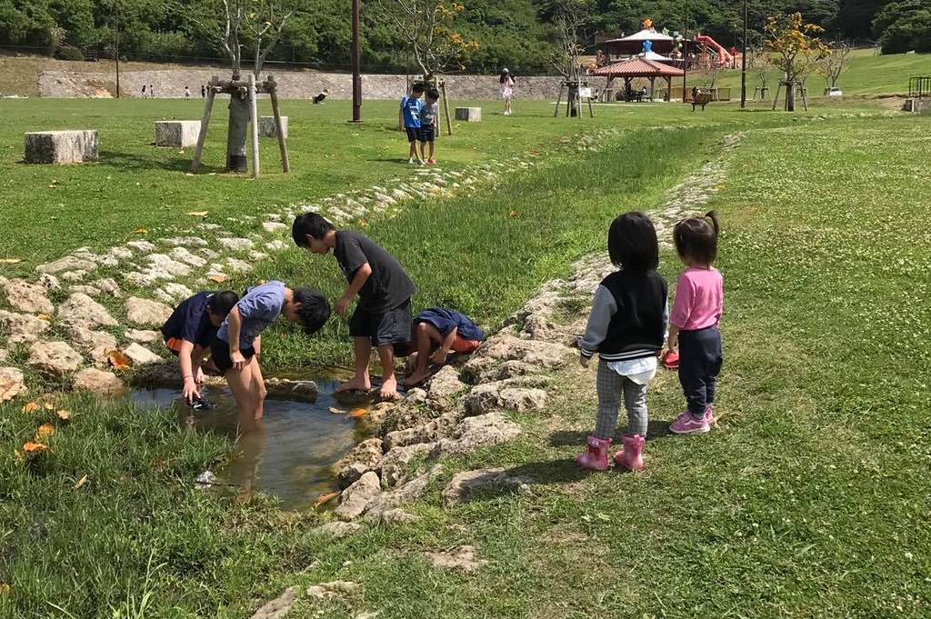 被蜱虫咬后死亡的几率有多大,夺命蜱虫怎么去除