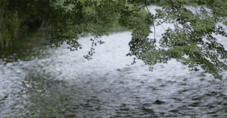 令人难忘的老师800字初中作文,难忘的语文老师