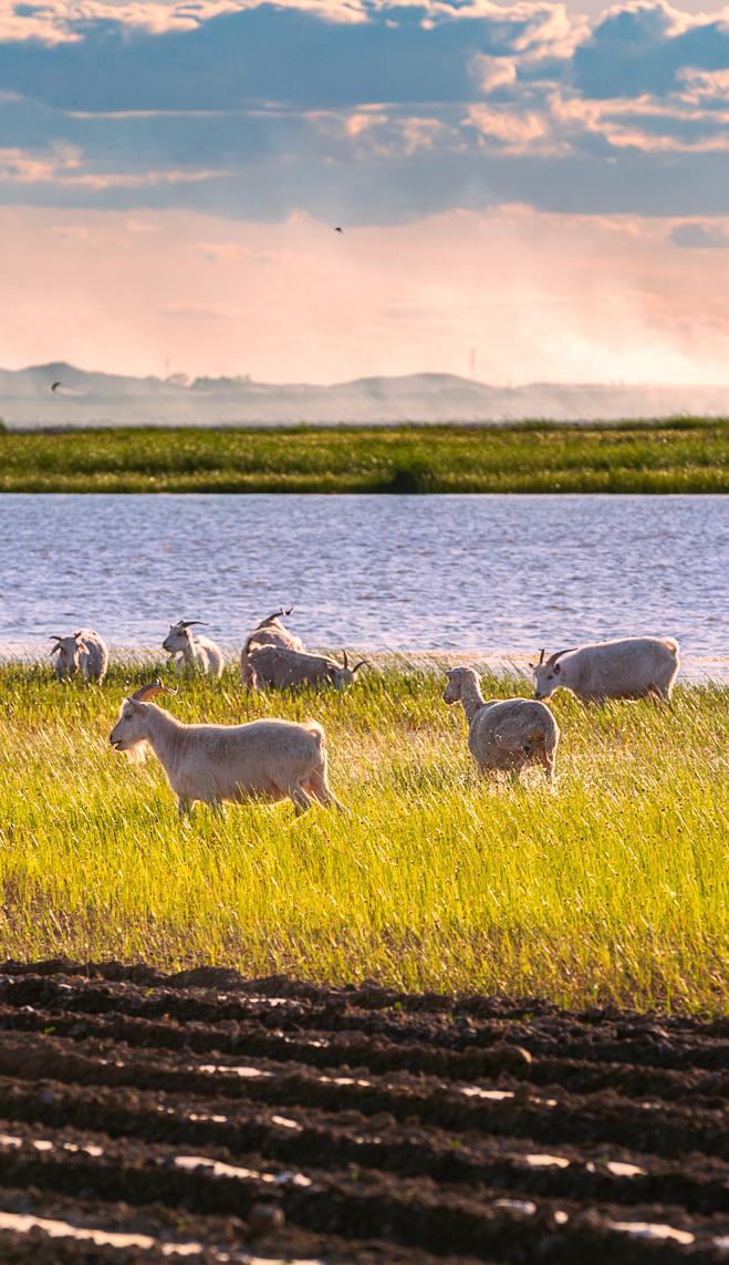 <html>
<head><title>502BadGateway</title></head>
<body>
<center><h1>502BadGateway</h1></center>
<hr><center>nginx</center>
</body>
</html>
<!--apaddingtodisableMSIEandChromefriendlyerrorpage-->
<!--apaddingtodisableMSIEandChromefriendlyerrorpage-->
<!--apaddingtodisableMSIEandChromefriendlyerrorpage-->
<!--apaddingtodisableMSIEandChromefriendlyerrorpage-->
<!--apaddingtodisableMSIEandChromefriendlyerrorpage-->
<!--apaddingtodisableMSIEandChromefriendlyerrorpage-->
