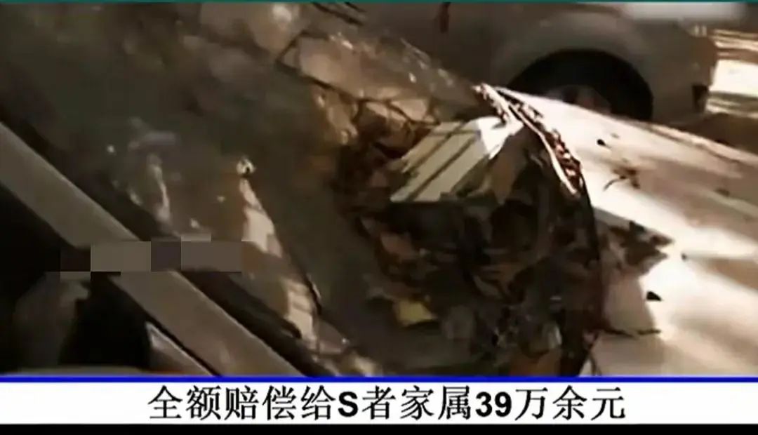 墙皮脱落砸死人全幢楼业主赔偿,住宅楼墙皮脱落砸伤人谁赔偿