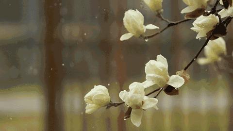 铁道兵战友诗30首,铁道兵退伍战友聚会诗