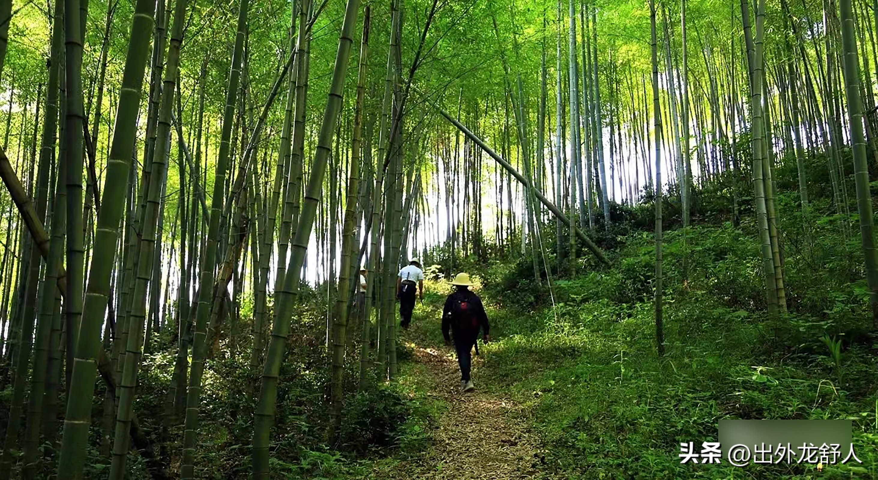 群雄逐鹿之安徽,群雄逐鹿南北朝时期的中国
