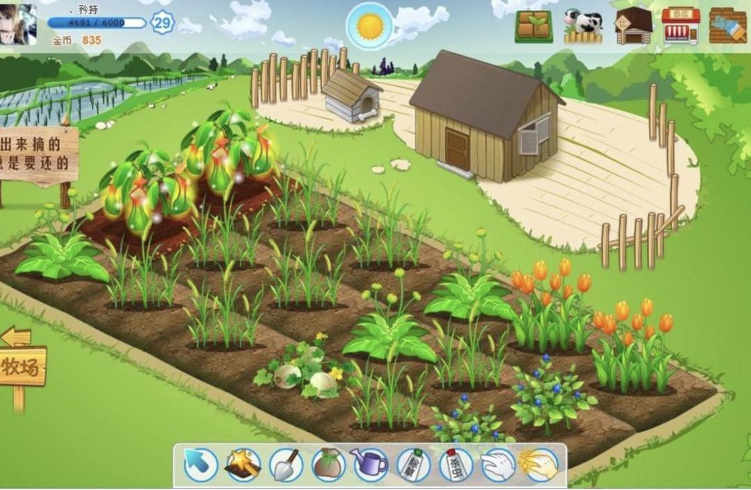 三个宅男玩生存游戏,三个宅男