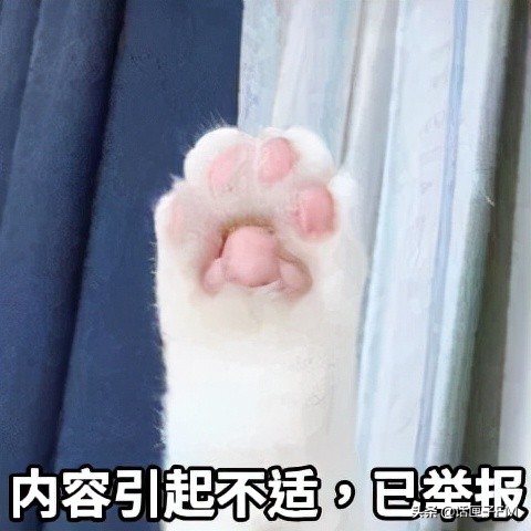 说错话的up主,b站顶流的up主