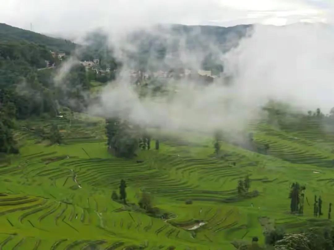 云南普洱景迈山旅游,普洱景迈山风景区
