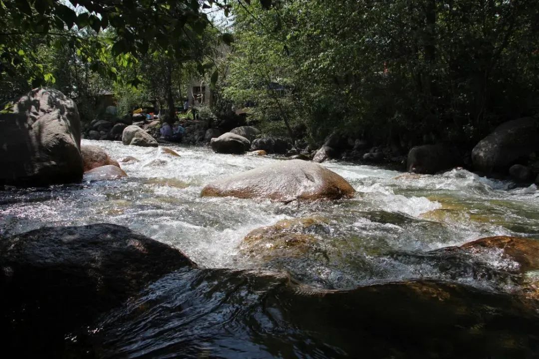 速收！兰州出发，临夏太子山旅游大通道及3-5日大环线自驾游攻略！