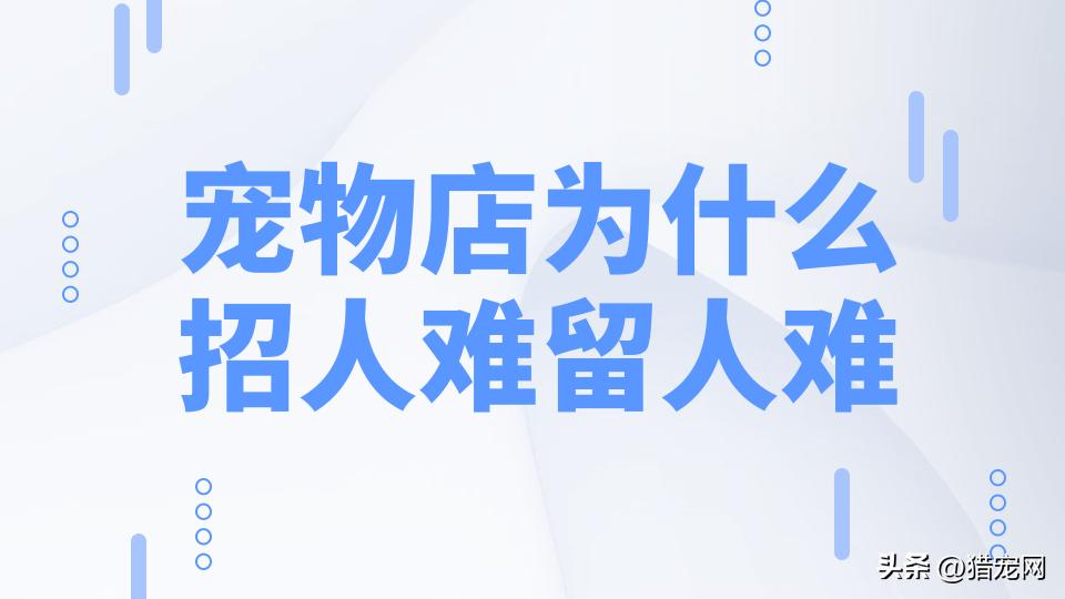 宠物店哪个岗位好,宠物店为什么很难做大