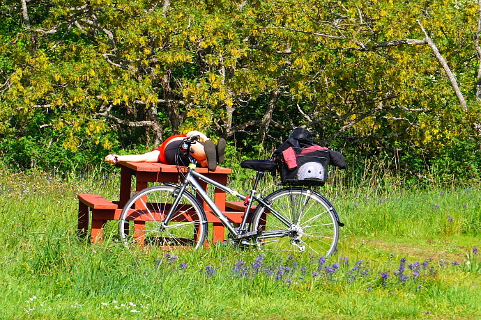加拿大温哥华岛游记,温哥华维多利亚岛攻略