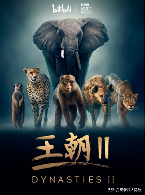 【新年收藏】2022年度受市场欢迎十*纪大**录片榜单揭晓！