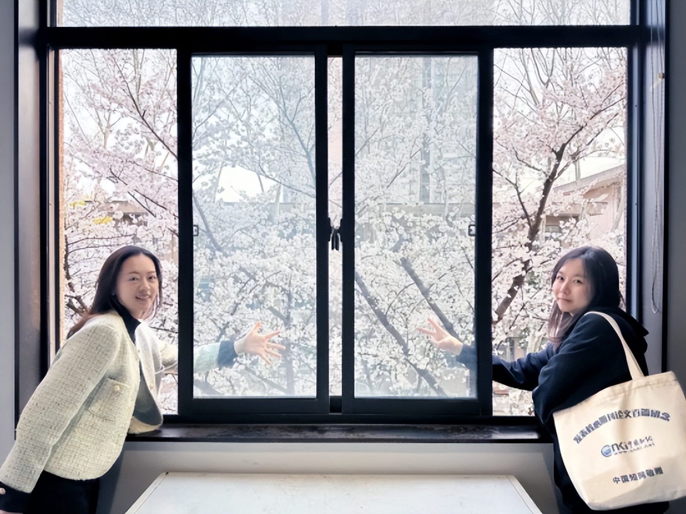 东南大学的短板在哪里,百年学府东南大学