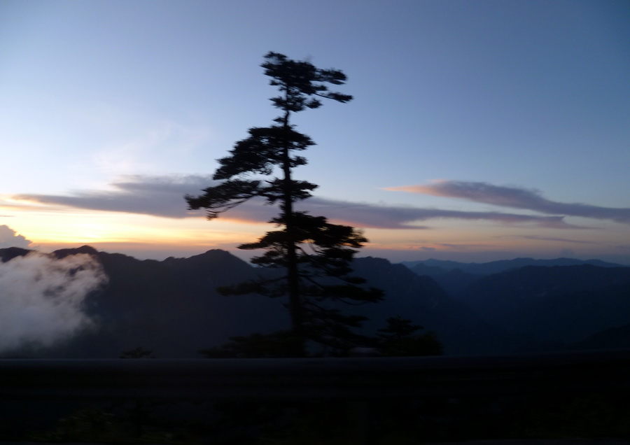 带你欣赏大九湖的美景,大九湖之旅