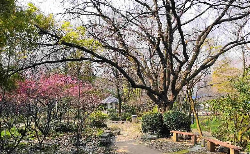 12月南京有哪些免费景点,南京市民免费旅游景点