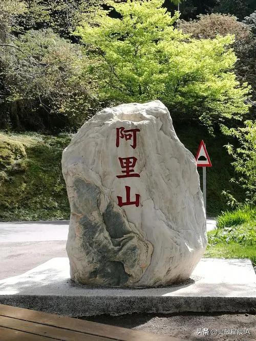 台湾阿里山风景视频,台湾阿里山歌曲