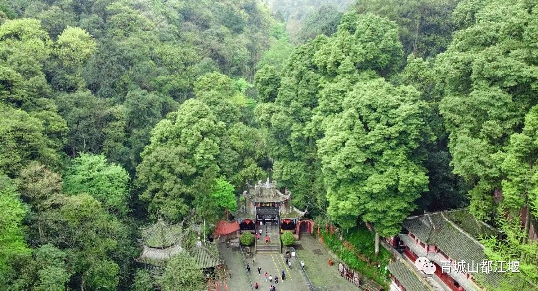 青城山森林秘境,青城山风光好去处