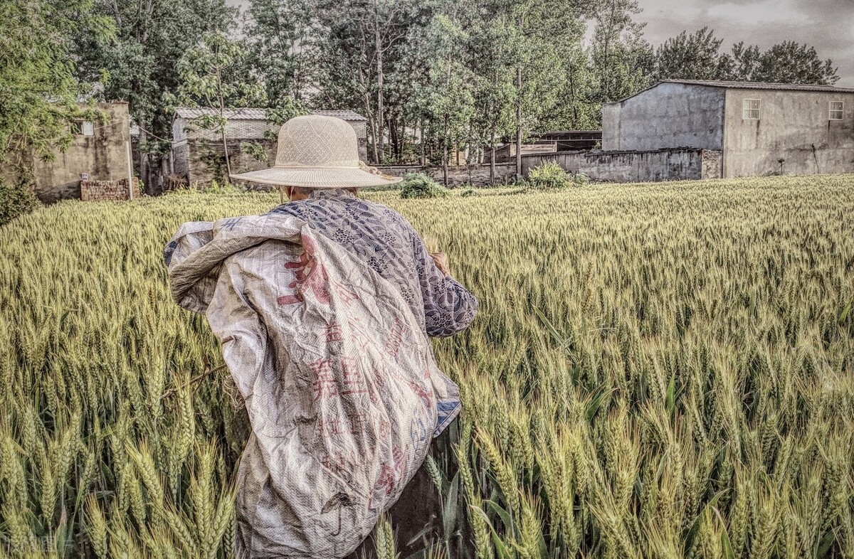 现在的年轻人都越来越矫情,为什么大多数人都受不了矫情