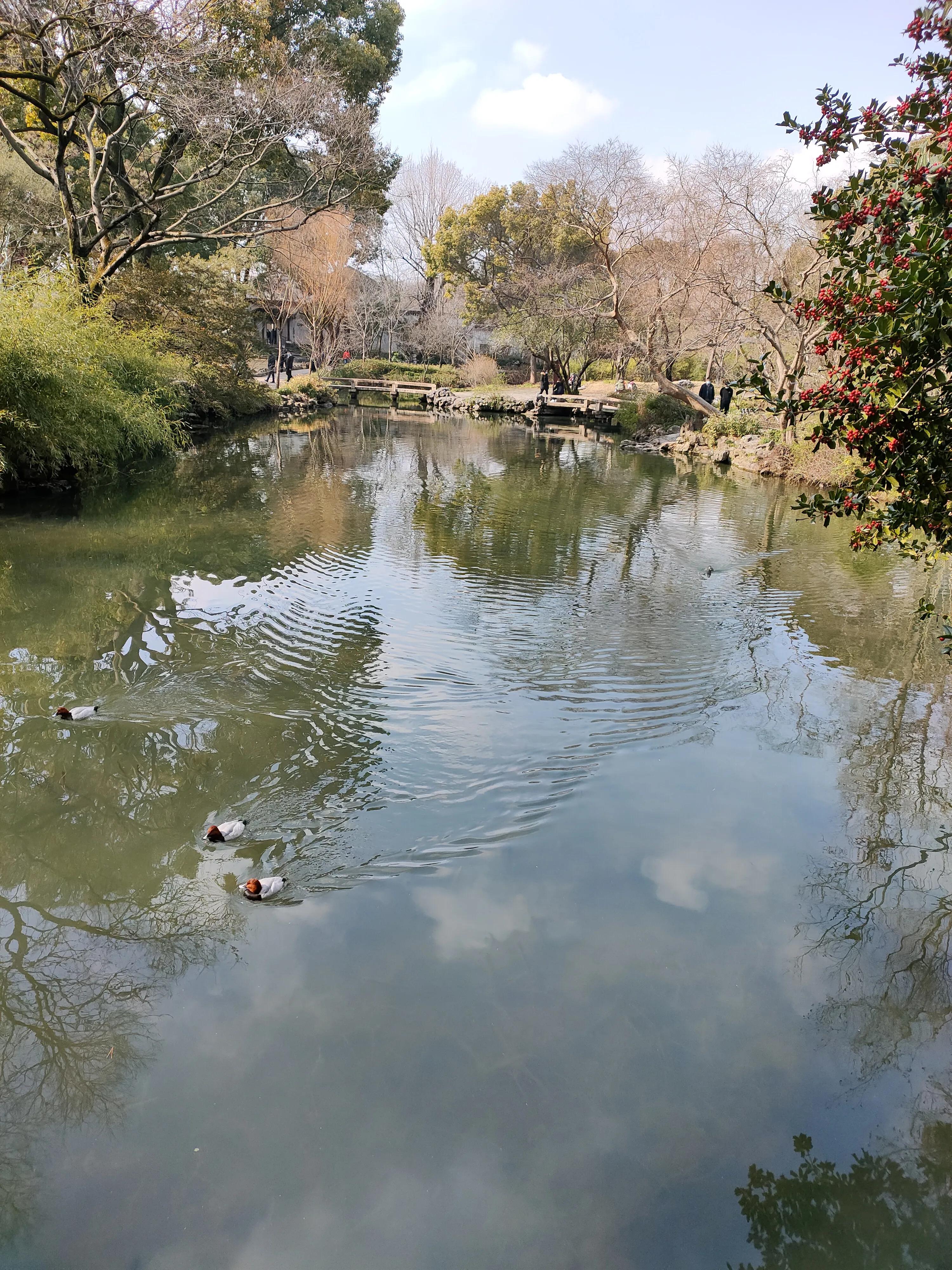 拙政园景致,一路好时光拙政园