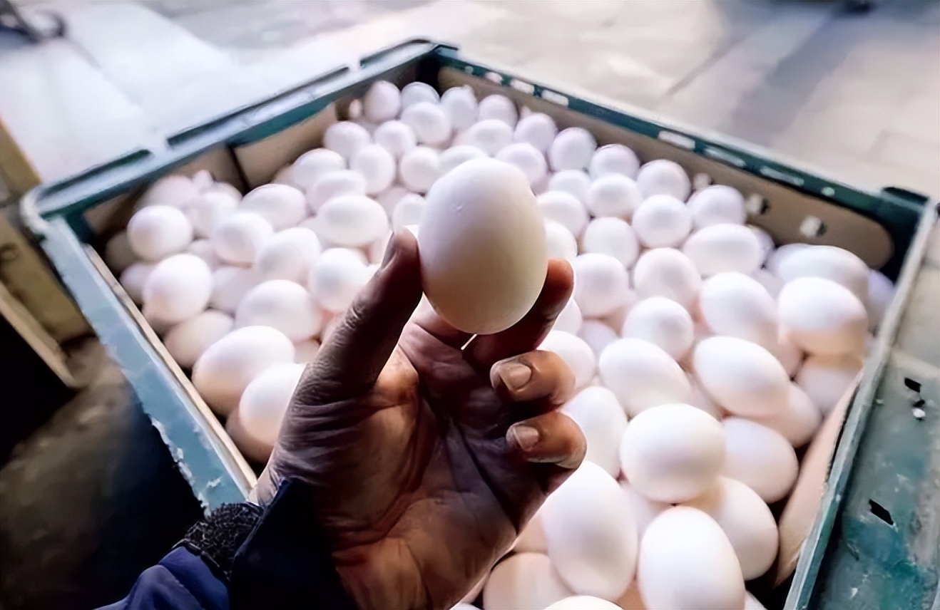 台湾食品安全再曝丑闻!资本50万元小公司,背后却有亿万补贴?