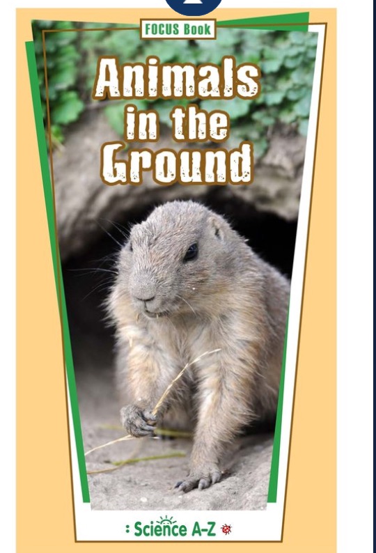 什么是大名鼎鼎的LearningA-Z?全球最详细的中文版图文视频介绍