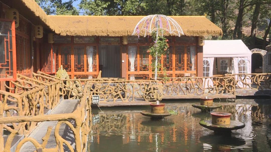 渔业乡村振兴,乡村振兴大棚养淡水鱼